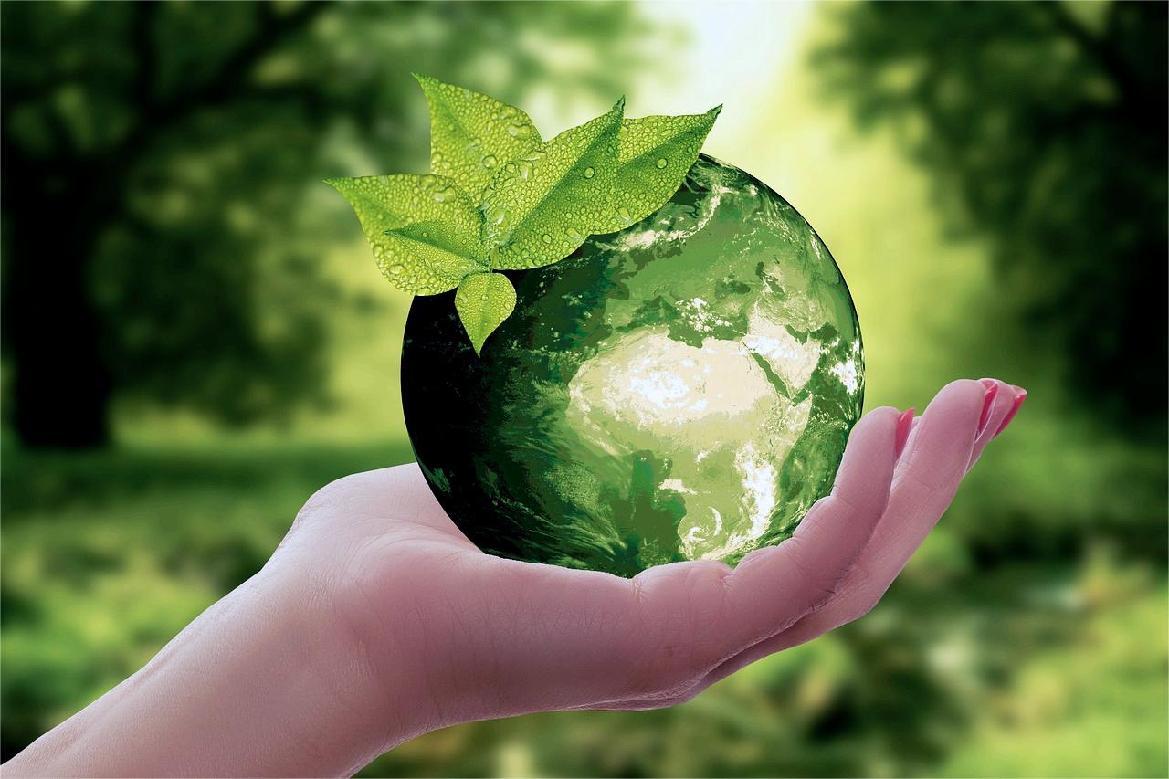 TUTU's eco-friendly borosilicate glass products