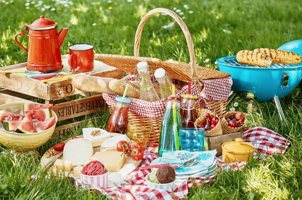 spring and summer picnic day